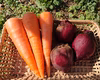 ビーツと人参のセット 農薬化学肥料不使用 