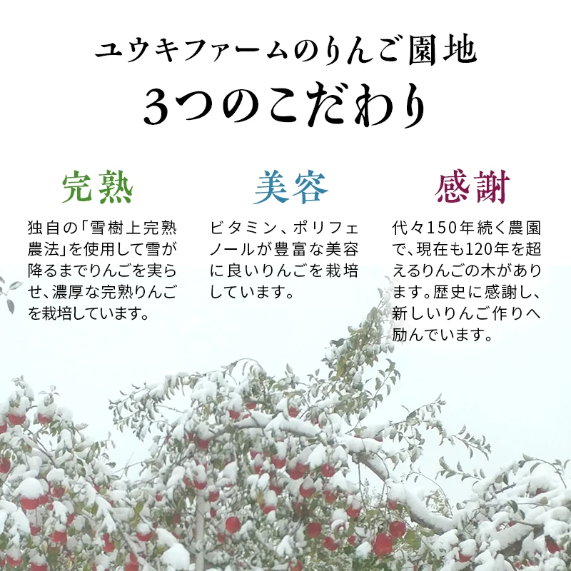 糖度１3%以上保証蜜入り雪完熟家庭用サンふじ１６個～１８個入り約5kg