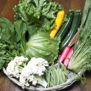 【期間限定】カリフローレが入った、野菜５～６種類セット