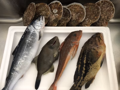 みんなの投稿の画像