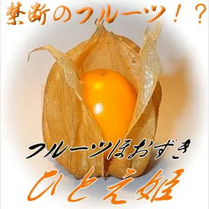 冷凍　フルーツほおずき「ひとえ姫」　（2022年産）