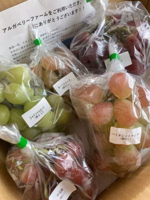 みんなの投稿の画像