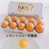 《定期便・新鮮・訳あり卵》【レモンイエローの黄身】八ヶ岳のおいしい平飼いたまご