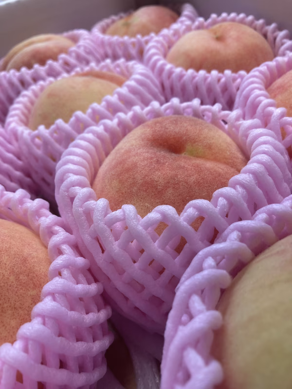 苅谷さんのおいしい桃　岩手県産