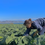 蛭田 泉 | 蛭田農園