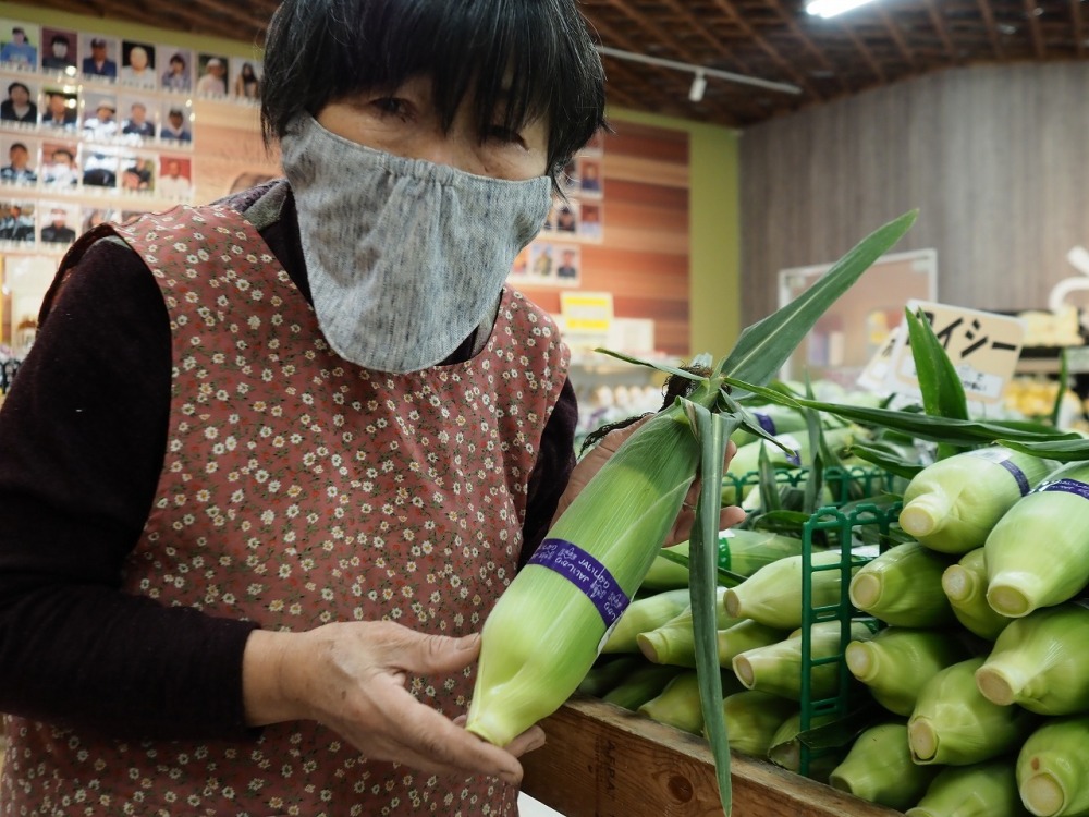 農協 生産者のタッグで いしかり野菜 を全国へ 農家漁師から産地直送の通販 ポケットマルシェ