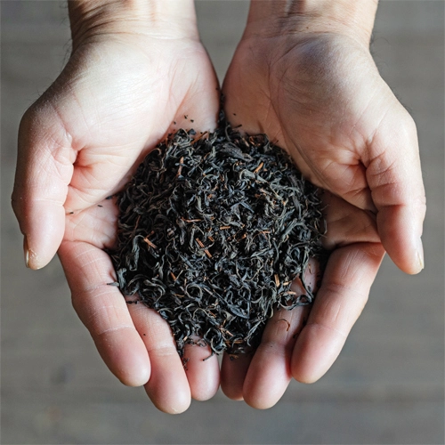 リラックス＆ストレス軽減＆睡眠効果【GABA和紅茶】茶農家手づくりギャバ和紅茶