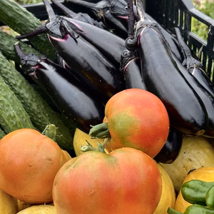 信州産｜箱いっぱい夏野菜！