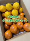 【お得な家庭用】富有柿 小粒3キロ と 柚子10個のセット
