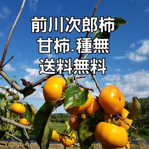 三重県産前川次郎柿