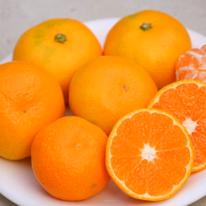 極早生ミカン！！　　5ｋｇ　最終10箱