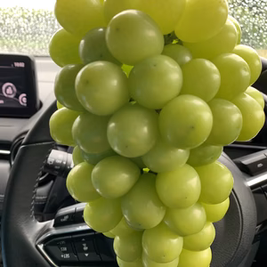 [山梨県勝沼産]特大シャインマスカット‼︎美味しさをお楽しみいただけます。