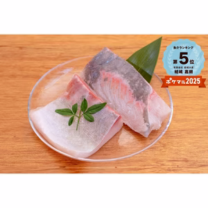 熟成☆金寿カンパチ刺身用ブロック600g～　急速凍結　流水解凍ですぐに食べれる！