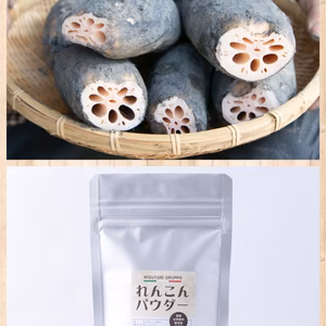 2020年産新レンコン土付きMサイズ2㎏＆レンコンパウダー100g1袋セット