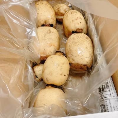 みんなの投稿の画像