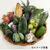 【定期便:増量】【沖縄からお届け】うるマルシェ生産者協議会の農産物セット