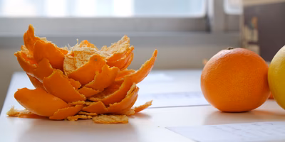 みかん大好き女子が6種類のみかんを大人買いして食べ比べてみたよ。