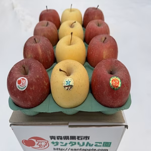 サンふじ＆金星　家庭用　紅白りんごの詰合せ　祝事やお正月に