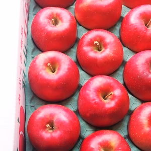 かぐや姫印　特別栽培完熟秋茜りんご2Lサイズ５ｋｇ