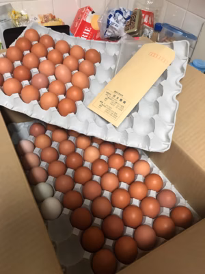 みんなの投稿の画像