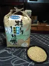 お米の旨味たっぷり自然栽培29年産「ひとめぼれ標準精米」10kg(精米サービス)