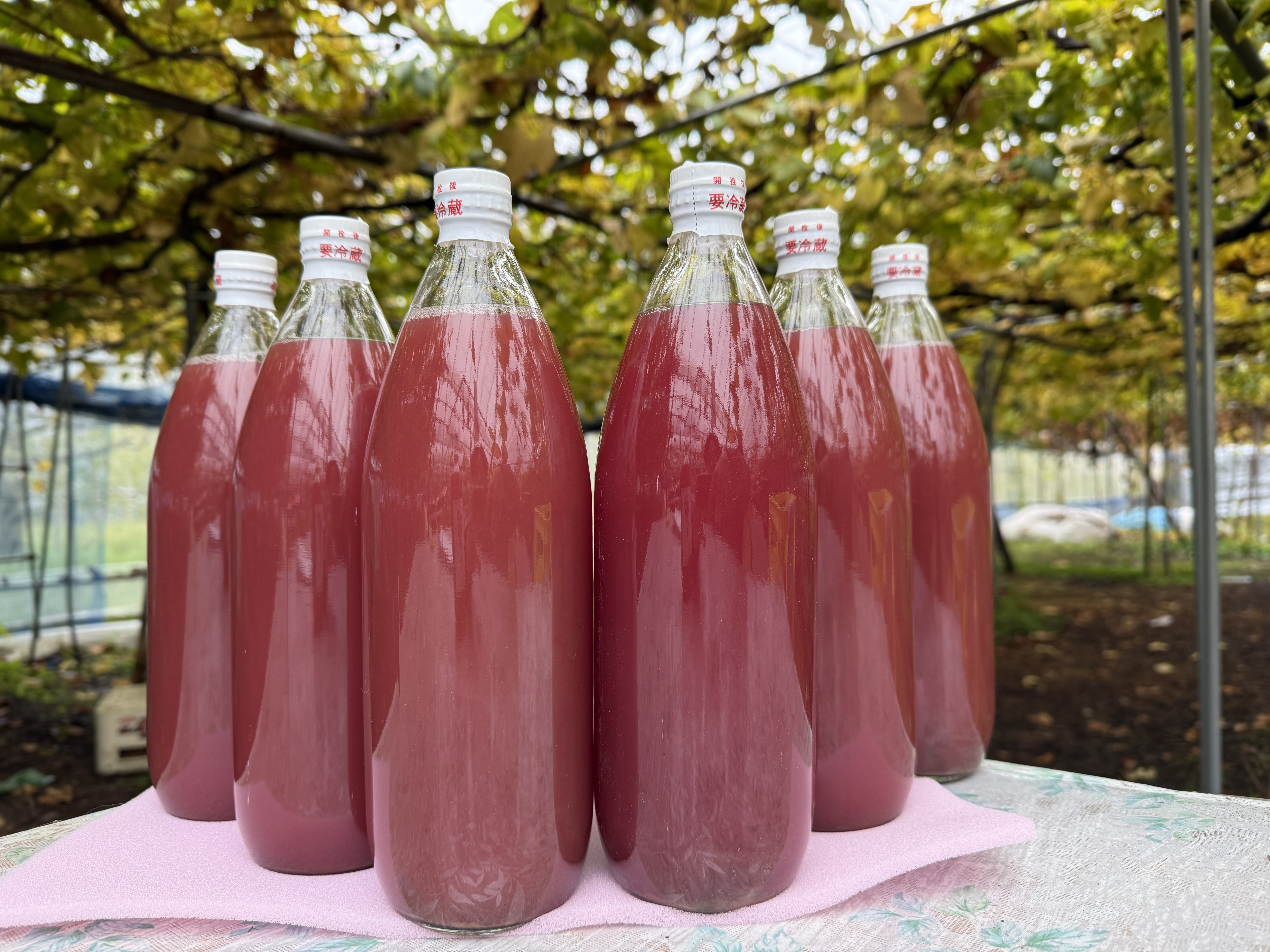 送料込み】農家直売 ぶどうジュース無添加100% 6本セット 令和7年新物