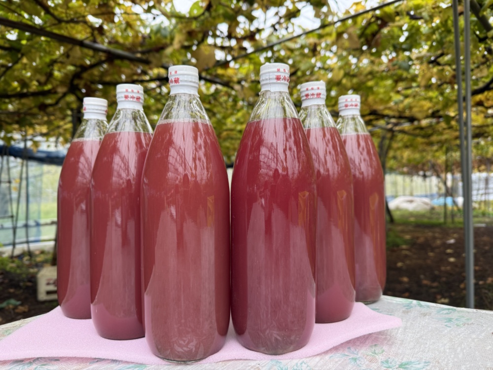 送料込み】農家直売 ぶどうジュース無添加100% 6本セット 令和7年新物