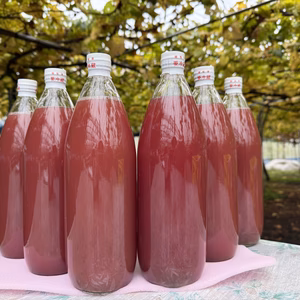 【送料込み】農家直売 ぶどうジュース無添加100% 6本セット 令和7年新物 