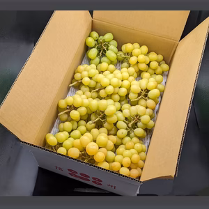 訳ありどっさりシャインマスカット※長野県認証/特別栽培同基準