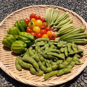 本日採れた、自然栽培の固定種野菜セット 6種✩15時までの注文で本日発送！