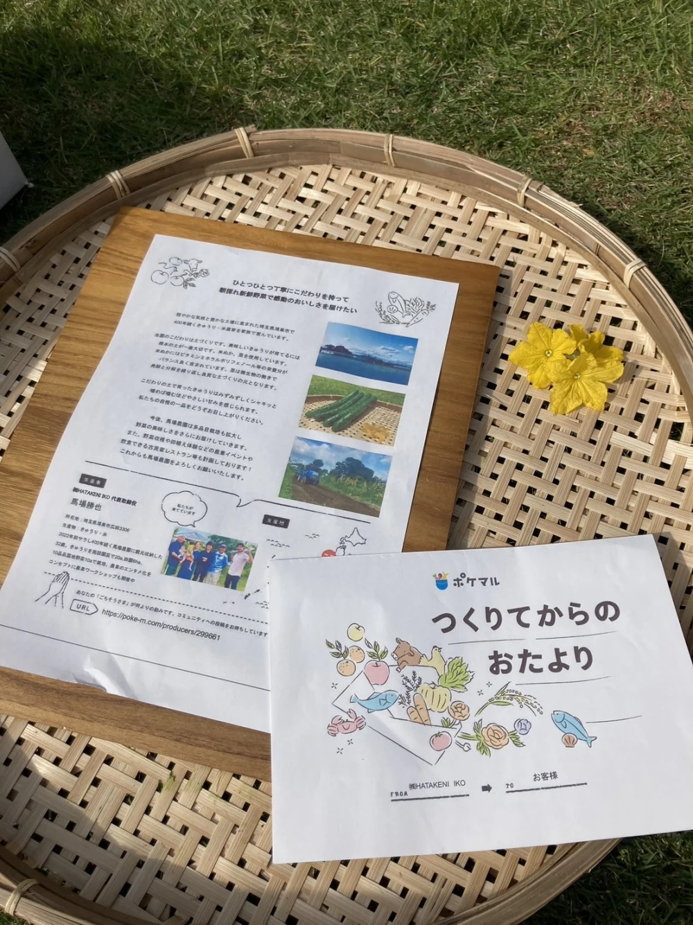 まっすぐ！シャキッと新鮮きゅうり５kg【野菜ソムリエサミット銀賞受賞】