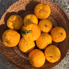 《無農薬、無化学肥料栽培》ビタミンたっぷり、柚子