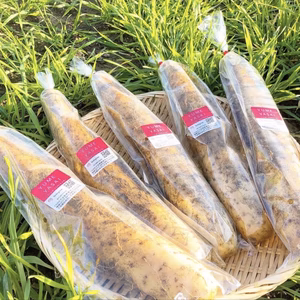 ゆめとろろ(細め)【粘りが強い!!】北海道産 掘りたて長いも