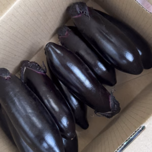 【初もの】高崎 縁側なす1.5kg