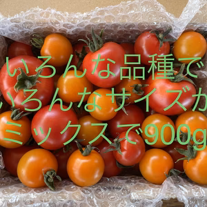 美味しいよ　青森県産　色々サイズのミックストマト