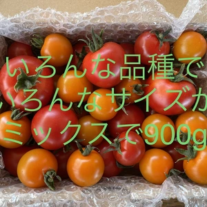 美味しいよ　青森県産　色々サイズのミックストマト