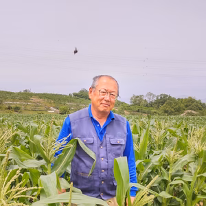 【新鮮さが自慢です！】山梨県産ヤングコーン【クール便】