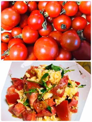 みんなの投稿の画像