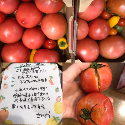 みんなの投稿の画像