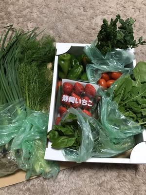 みんなの投稿の画像