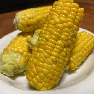 愛媛県低農薬朝採りスイートコーン大容量リクエストボックス