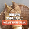 米ぬか不要茹でるだけ★名産地太市のアクの少ない新鮮たけのこ！