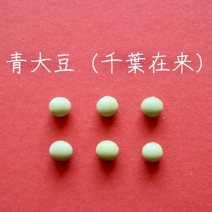 【青大豆（千葉在来）　２００g】上品な香りでどんな料理にも合う万能大豆