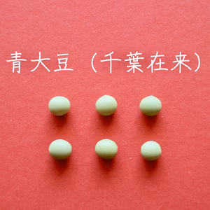 【青大豆（千葉在来）　２００g】上品な香りでどんな料理にも合う万能大豆