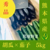 【篤壌野菜】胡瓜と茄子のセット　５ｋｇ