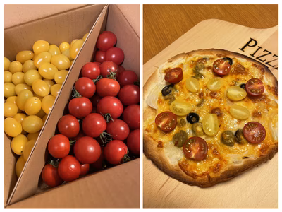 みんなの投稿の画像