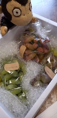 みんなの投稿の画像