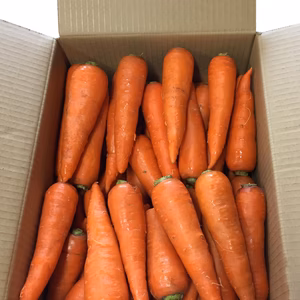 人参　９～１０ｋｇ　不選別　広島県産　農薬・化学肥料：栽培期間中不使用