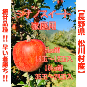 極甘‼︎シナノスイート‼︎数量限定‼︎【長野県松川村産】家庭用
