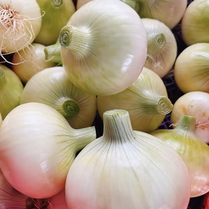 安心安全！野菜ソムリエが育てたこだわり新玉ねぎ